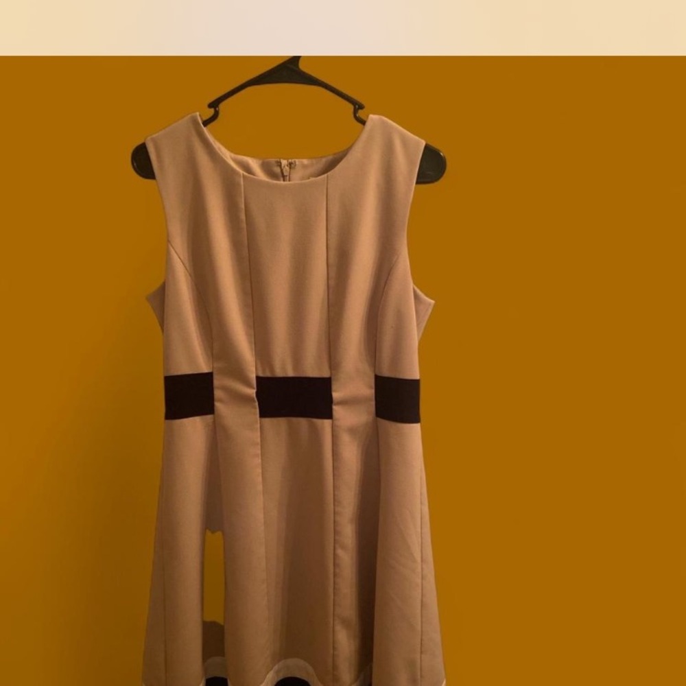 Calvin Klein Tan and Black Mini Dress